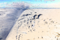 2025_Leden_tonen_abstract_07a